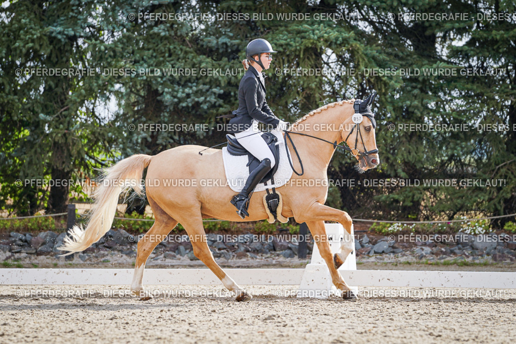 DSC00887 | Pferdegrafie