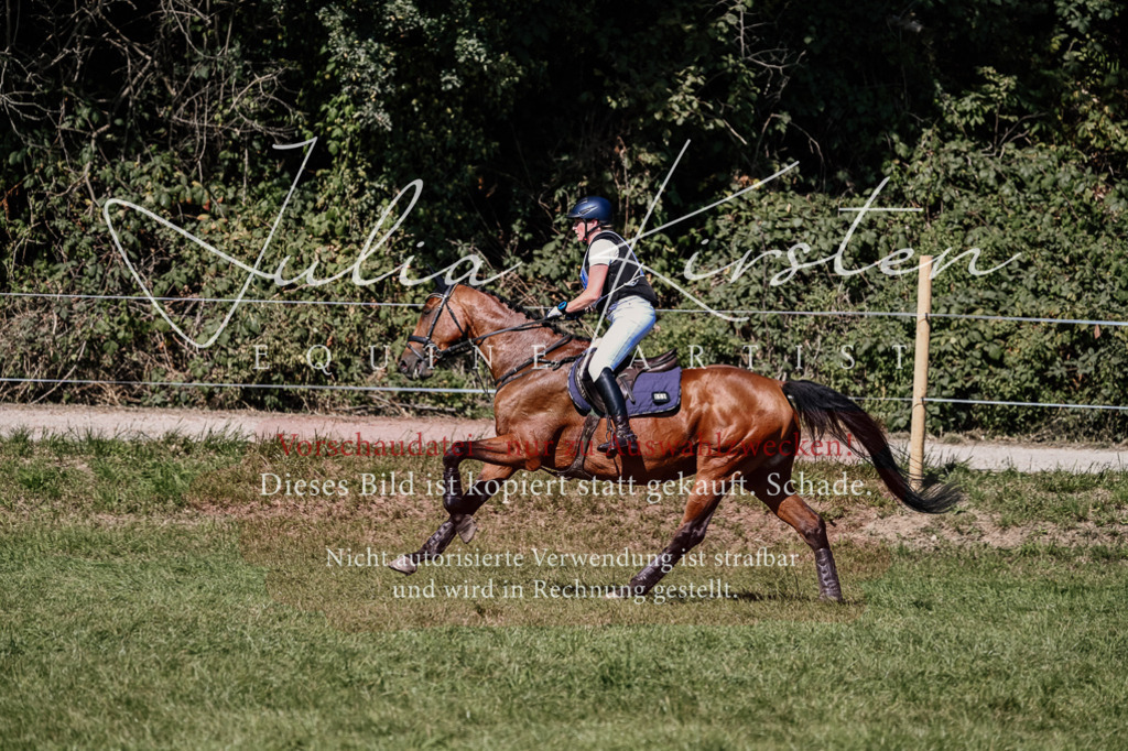 DSC_1985 | Pferde- und Turnierfotografie in Westsachsen. Pferdeportraits, Auftragszeichnungen und intuitive Kunst.