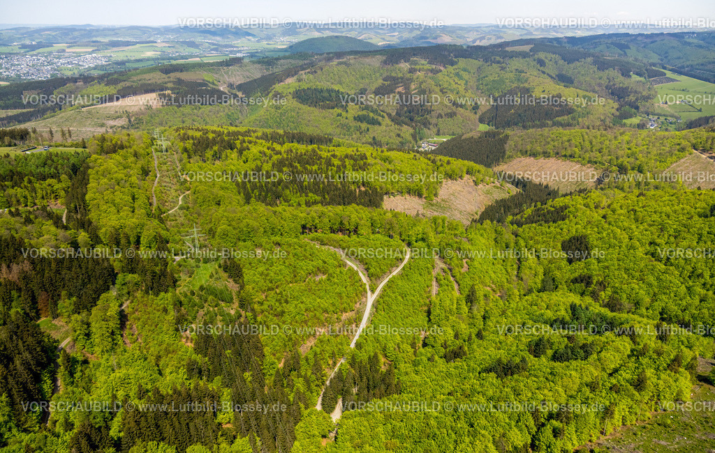 Schmallenberg240505553HotelJagdhausWiese | Luftbild, Waldgebiet mit Waldschäden, Kalamitätsflächen,   Massenvermehrung von tierischen und pflanzlichen Schädlingen in Pflanzenkulturen, Waldschäden, Jagdhaus, Schmallenberg, Sauerland, Nordrhein-Westfalen, Deutschland