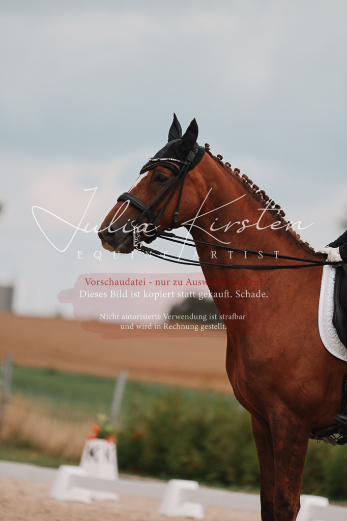 DSC_4112 | Pferde- und Turnierfotografie in Westsachsen. Pferdeportraits, Auftragszeichnungen und intuitive Kunst.