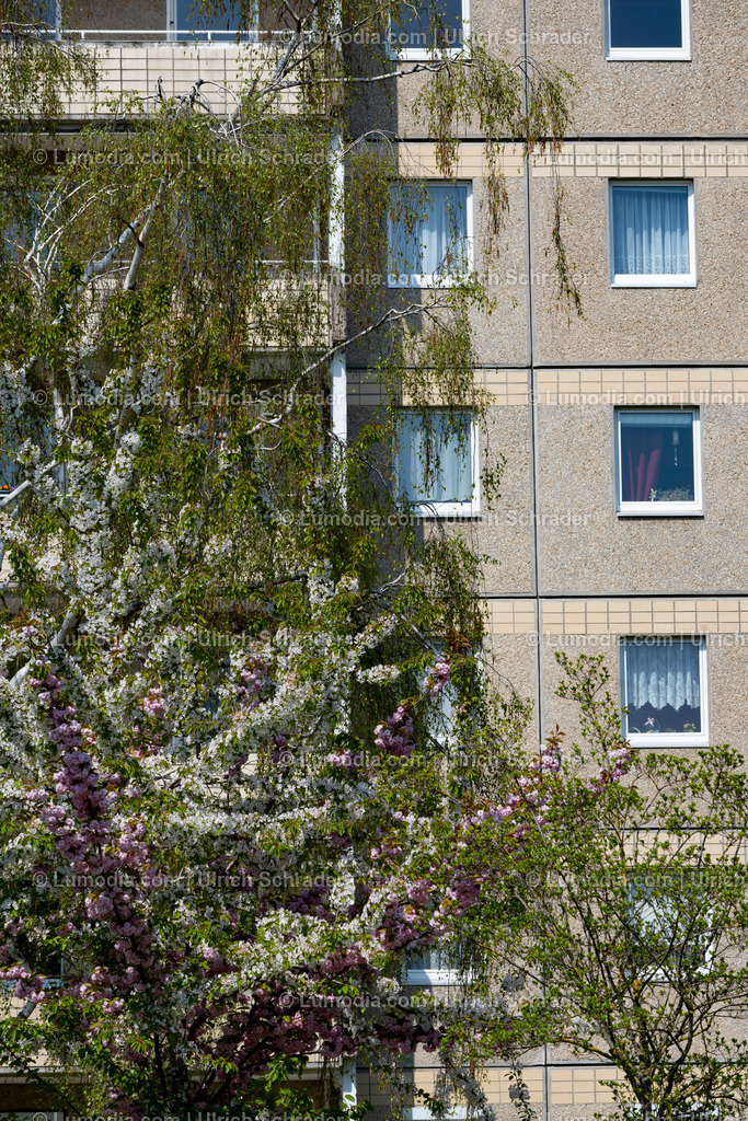 10049-12943 - Halberstadt - Plattenbau | Stockfoto und Bilderpool mit Bildmaterial aus Deutschland, dem Harz, Halberstadt, Quedlinburg, Wernigerode und weltweit. Qualitativ hochwertige und professionelle Fotos anschauen und kaufen. - Realisiert mit Pictrs.com