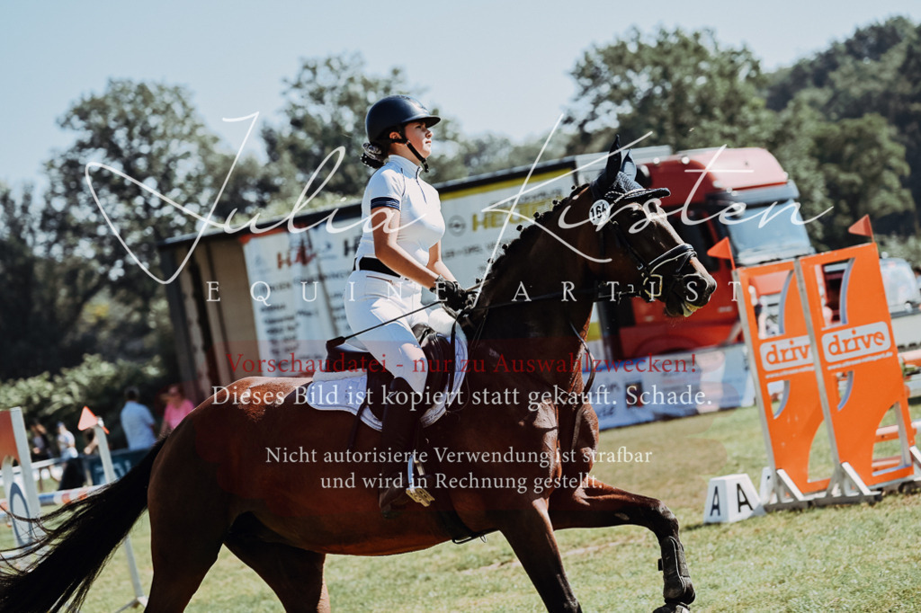 DSC_5956 | Pferde- und Turnierfotografie in Westsachsen. Pferdeportraits, Auftragszeichnungen und intuitive Kunst.