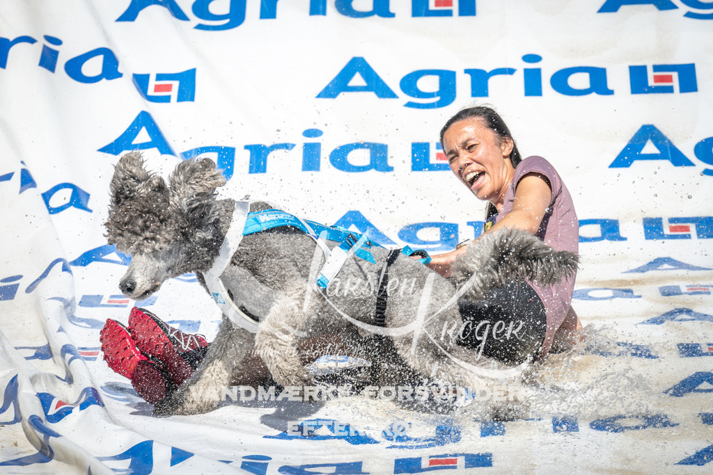 1455_ZZ96414 | kk-dogfotos