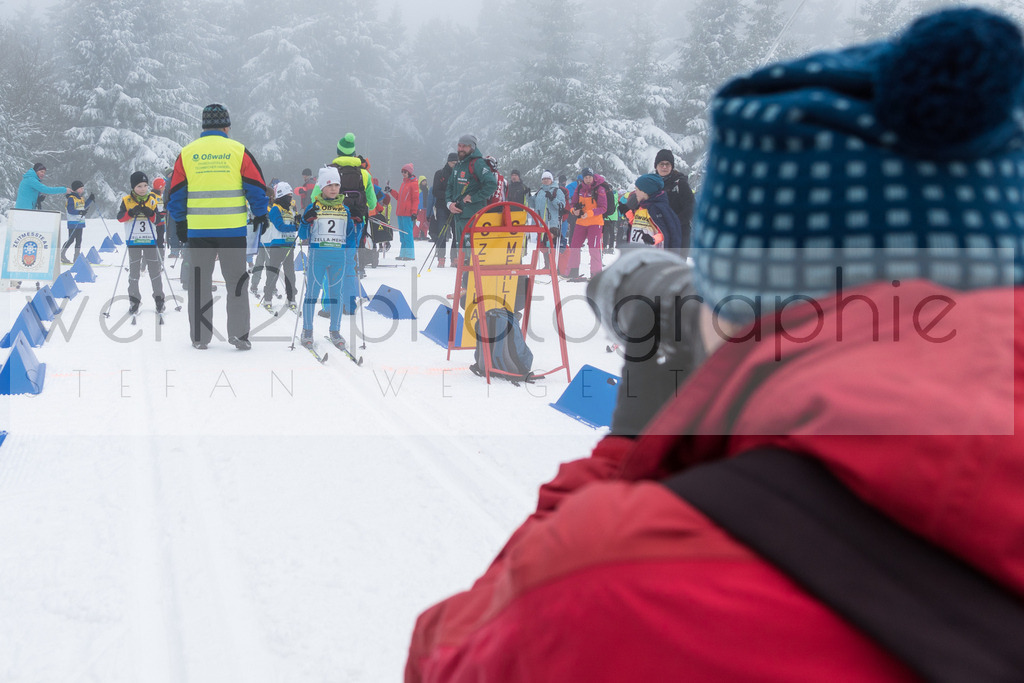 Otto-Wahl-Lauf Oberhof | Otto-Wahl-Lauf in Oberhof am 29. Februar 2020