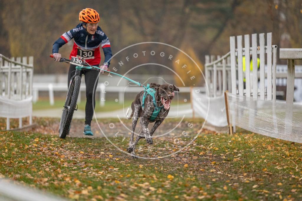 CaniXpix_DV3A7388 | Hundefotografie, Tierfotograf, Pfotenfotografie, Fotoshooting Hund, Hunde Portrait, Hundesport, Hundeportraits, Heideshooting, Hunde, Sportfotograf, Hundefotograf, Turnierhundsport, THS,  - Realisiert mit Pictrs.com