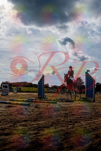 2026_10_03_Siefer-Hof_145548_Z63_05781944 | Professionelle Reitsport-, Turnier- und Eventfotografie von Robert Broda. Galerien mit ausgewählten und bearbeiteten Bildern direkt online ansehen und bestellen.