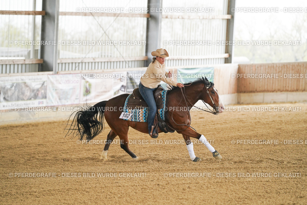 DSC07118 | Pferdegrafie