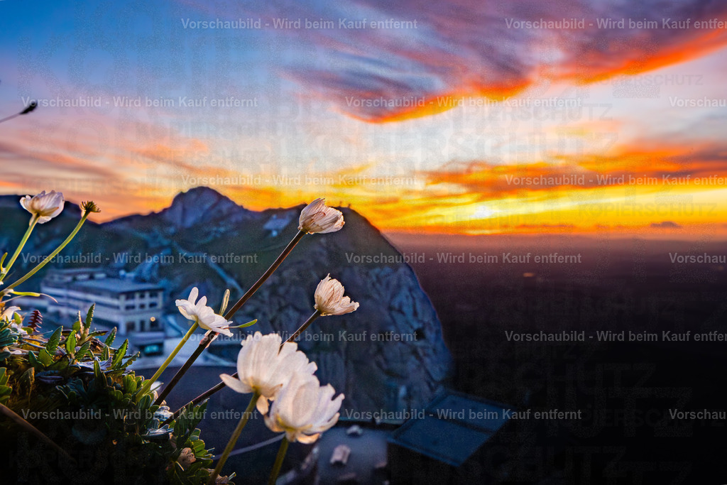 Sonnenuntergang auf dem Pilatus | Sonnenuntergang auf dem Pilatus mit warmem Abendlicht, leuchtenden Wolken und Blick über die Zentralschweiz. Eine ruhige Bergserie zwischen Fels, Himmel und letzter Tagesfarbe. - Realisiert mit Pictrs.com
