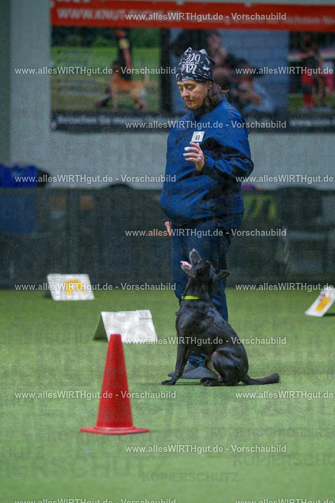 7R501230 | Professionelle Tierfotografie in Mönchengladbach von Daniel Wirth (allesWIRTHgut). Liebevolle & natürliche Bilder von Hunden & Katzen für unvergessliche Erinnerungen.