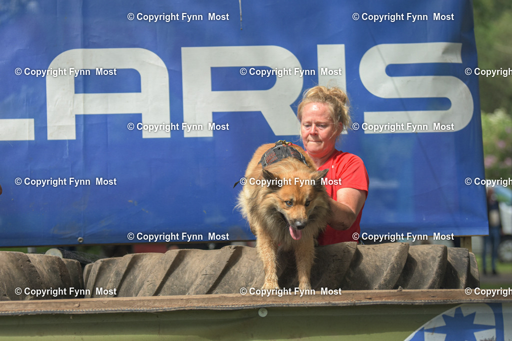 DSC_0460-2 | Hallo und herzlich Willkommen auf meiner Shop-Seite Fynn Most.

Ich wünsche Dir viel Spaß beim stöbern durch die Bilder, wenn Du Fragen hast oder Bilder vermisst, kannst du mir gerne eine Nachricht schreiben. - Realisiert mit Pictrs.com
