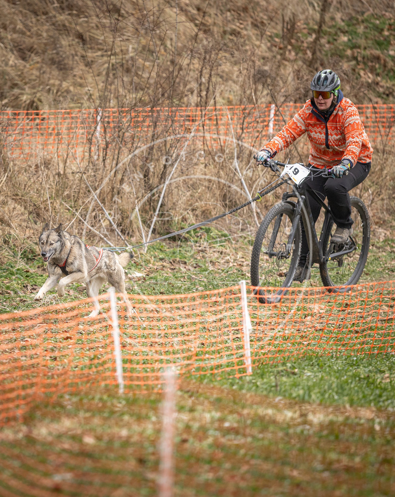Pfotenfotografie_DV3A6915 | Hundefotografie, Tierfotograf, Pfotenfotografie, Fotoshooting Hund, Hunde Portrait, Hundesport, Hundeportraits, Heideshooting, Hunde, Sportfotograf, Hundefotograf, Turnierhundsport, THS,  - Realisiert mit Pictrs.com