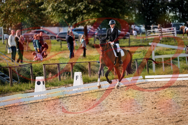 2026_10_03_Siefer-Hof_131711_Z63_78750131 | Professionelle Reitsport-, Turnier- und Eventfotografie von Robert Broda. Galerien mit ausgewählten und bearbeiteten Bildern direkt online ansehen und bestellen.