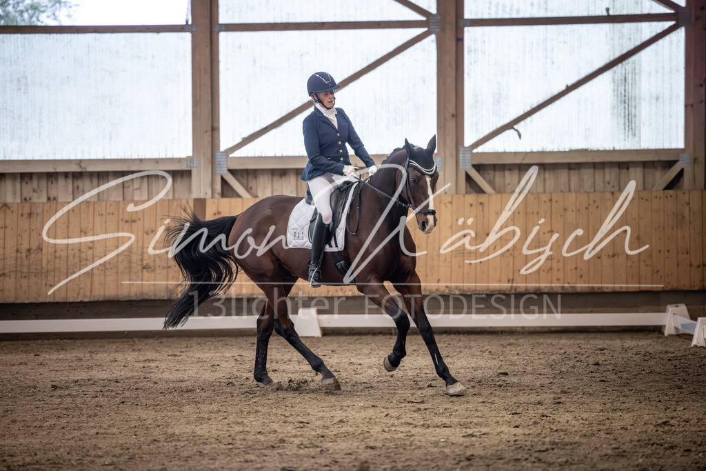 20251011-_3LI1676 | Tierfotografie Pferde, Hunde, Katzen, Haustiere.
Turnierfotografie Reitturniere, Reiten, Springreiten, Dressur in Hanau, dem Main-Kinzig-Kreis und dem Rhein-Main- Gebiet um Frankfurt