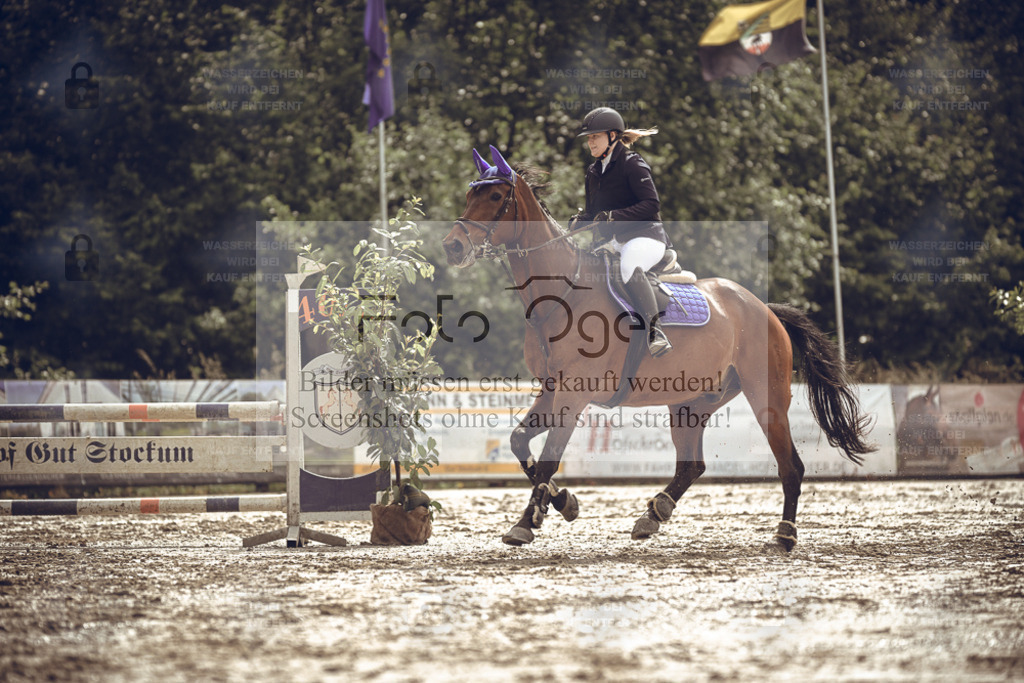 20240531-DOS_8208 | Entdecke hochwertige Reitturnierfotos von Foto Oger. Professionell, emotional und authentisch – jetzt Lieblingsmomente im Shop bestellen. - Realisiert mit Pictrs.com