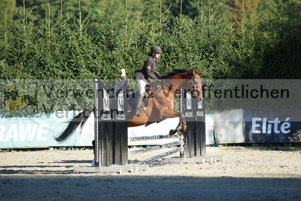 DSC08214 | equestrian-live-com