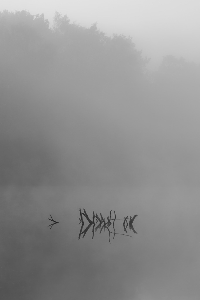 2024_10_04_HIMMELMOOR-NEBEL_MCP7327 sw | Hochwertig gedruckte Fotografien für die Wand, als Kalender und zum Verschenken. Hamburg & Norddeutschland und überall wo ich mit der Kamera unterwegs war.