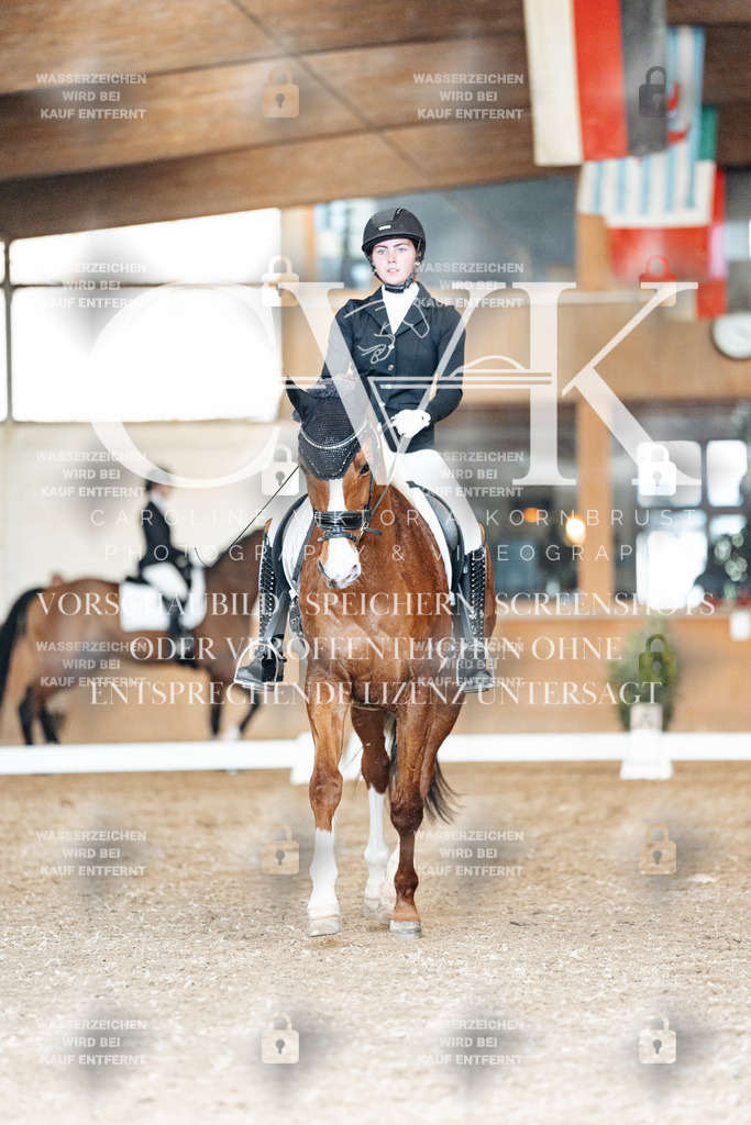 CK901742 | Turnierfotografie Pferdefotografie Trier Rheinland-Pfalz Pferdesport Reitsport Tierfotografie Sportfotografie Pferdevideo Pferdevideografie Equestrianvideography equestrianphotography  - Realisiert mit Pictrs.com