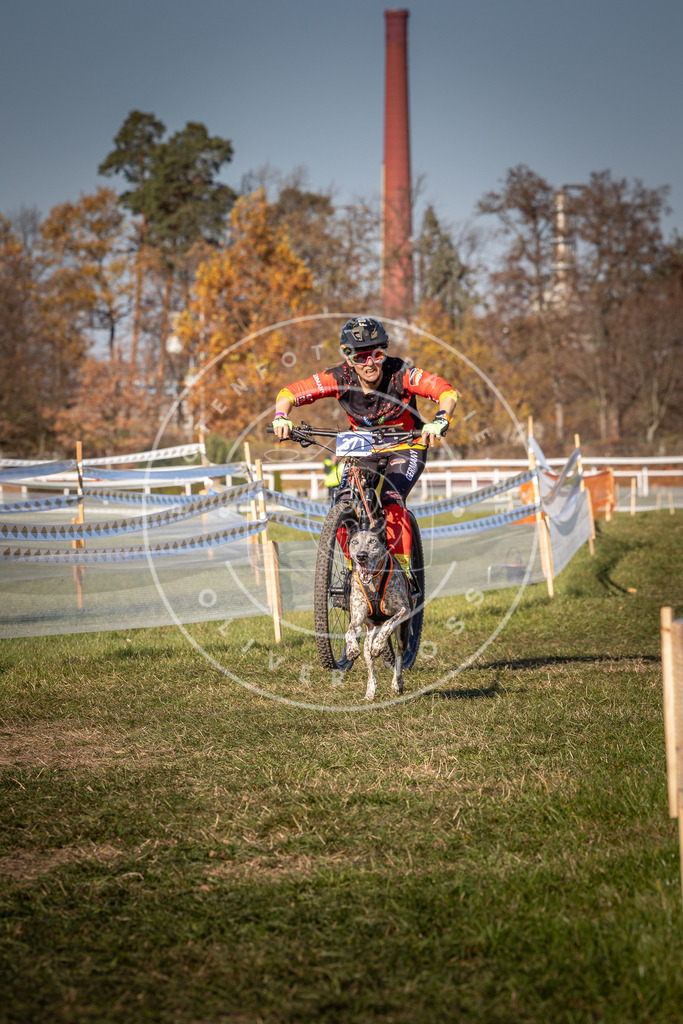 CaniXpix_0L8A6423 | Hundefotografie, Tierfotograf, Pfotenfotografie, Fotoshooting Hund, Hunde Portrait, Hundesport, Hundeportraits, Heideshooting, Hunde, Sportfotograf, Hundefotograf, Turnierhundsport, THS,  - Realisiert mit Pictrs.com