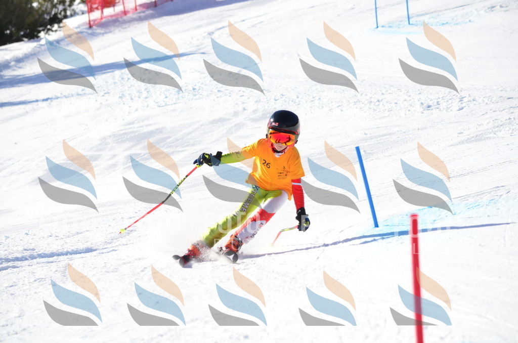 C6400 | holidayphoto