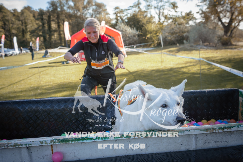 1221_ZZ95608 | kk-dogfotos