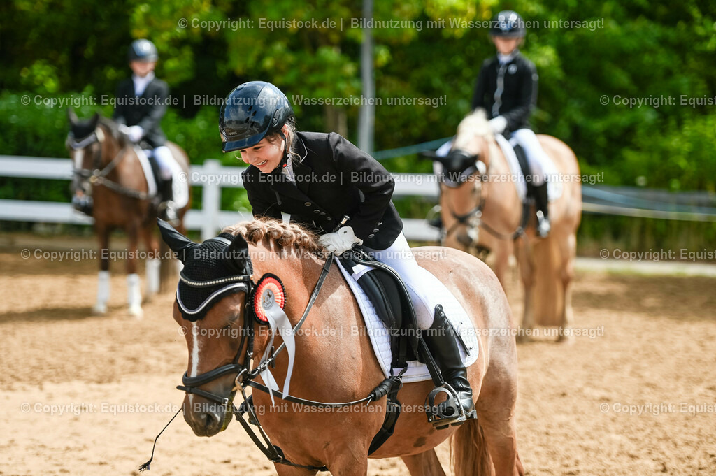 20230716_10-3_Reiter-WB Schritt - Trab - Galopp_0214 | equistock