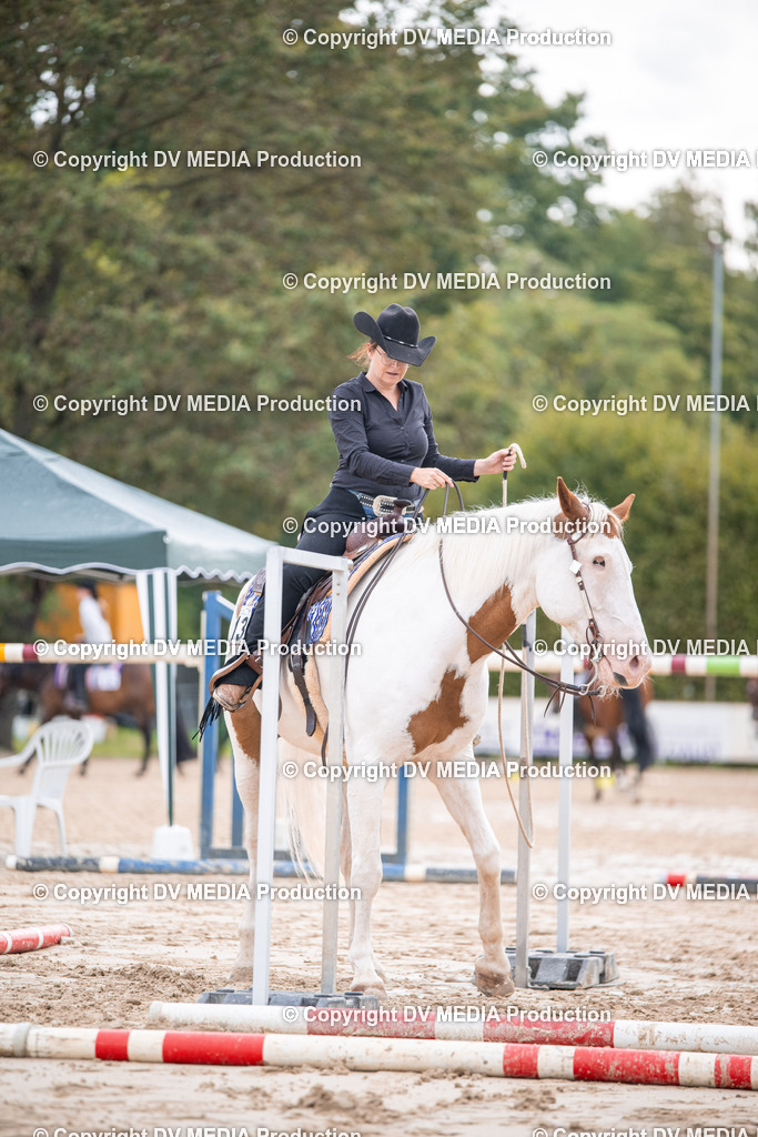 ZS3_4654 | dv-media-shop - Realisiert mit Pictrs.com