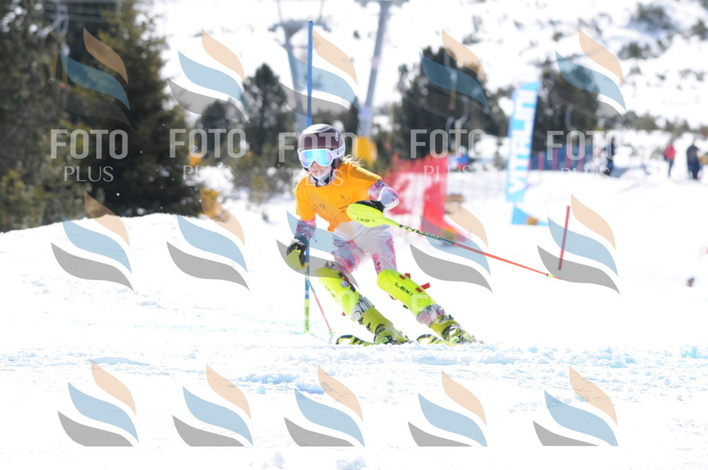 C9219 | holidayphoto