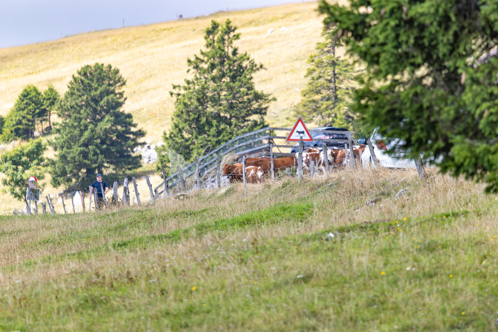 _01A5925 | Sportbilder, Sportfotograf, Hochzeits- und Eventfotografin, Flugshows, Portraits und Tiershooting, Aviation, Downhill, Nationalleague, Swissleague, International