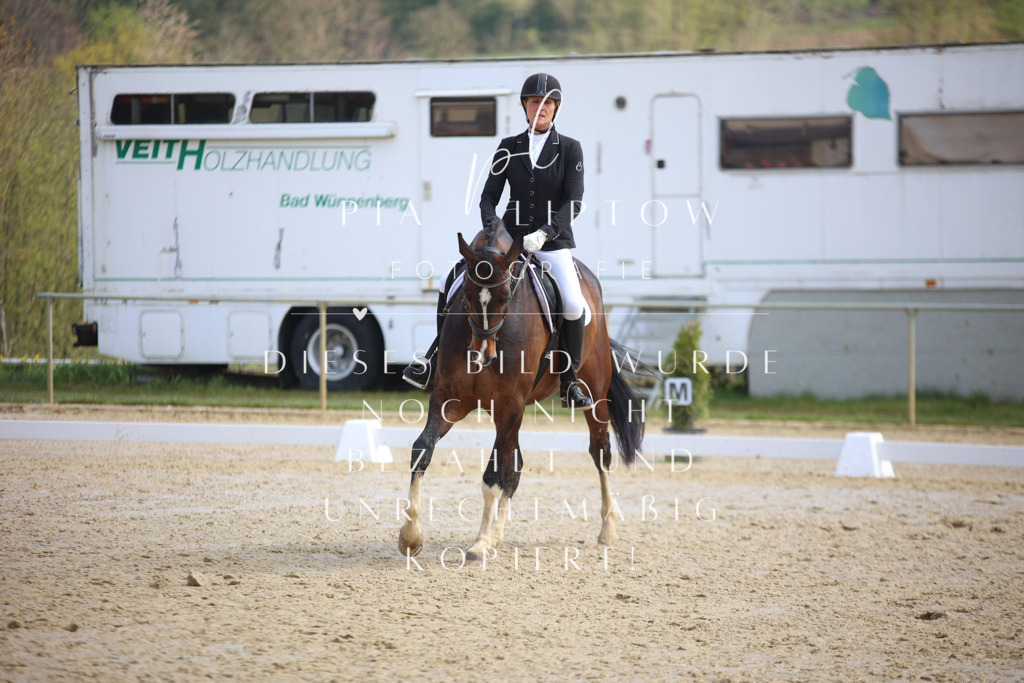 IMGT4603 | pl-fotografie