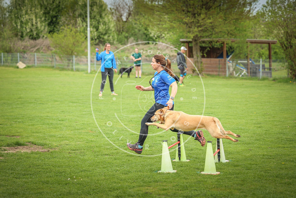 Pfotenfotografie_0L8A9574 | Hundefotografie, Tierfotograf, Pfotenfotografie, Fotoshooting Hund, Hunde Portrait, Hundesport, Hundeportraits, Heideshooting, Hunde, Sportfotograf, Hundefotograf, Turnierhundsport, THS,  - Realisiert mit Pictrs.com