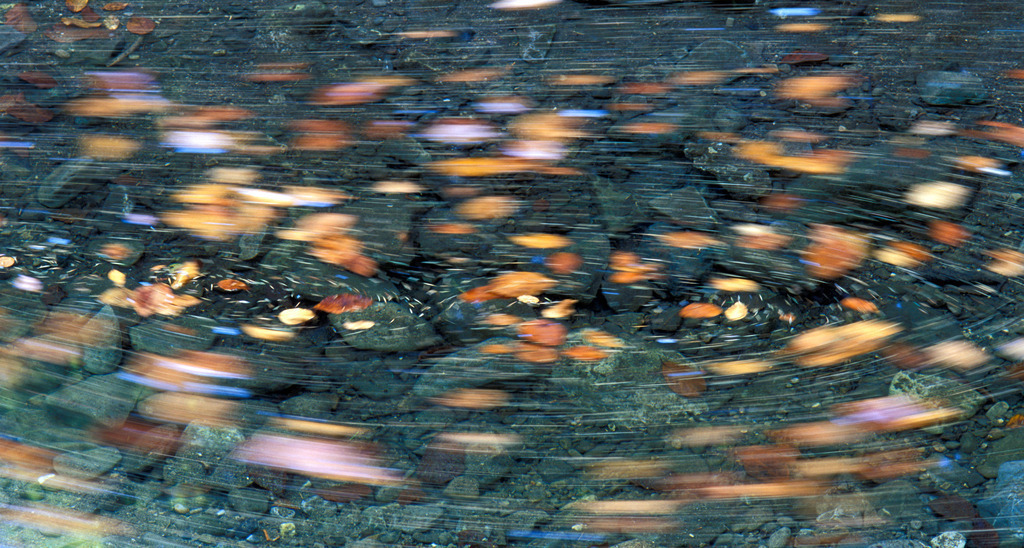 Laub im Wasser | Dornbirn, Austria -  2009: bewegtes Laub im Wasser. - Realisiert mit Pictrs.com