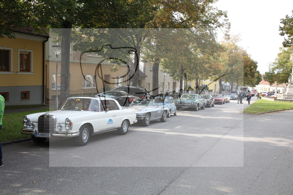 IMG_2134 | Gerhard Witt