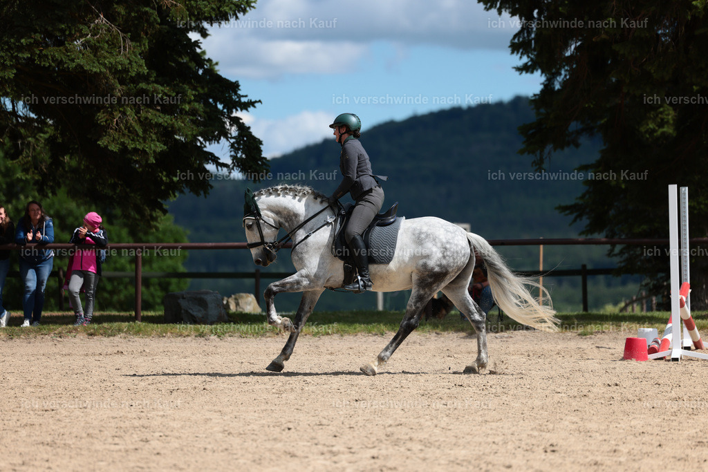 KlasseL_Stoibphotography_CAM22866.JPG | working equitationturnier fotograf videograf stoibphotography marixx film working equitation deutschland reitsport turnierfotografie eventfotografie equestrian events