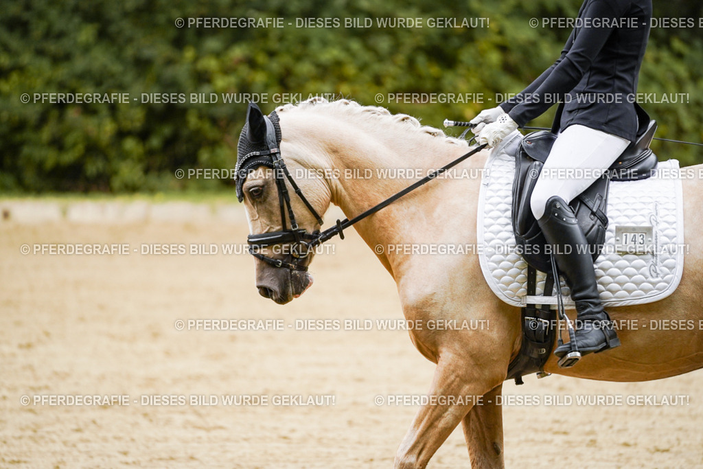 DSC08701 | Pferdegrafie