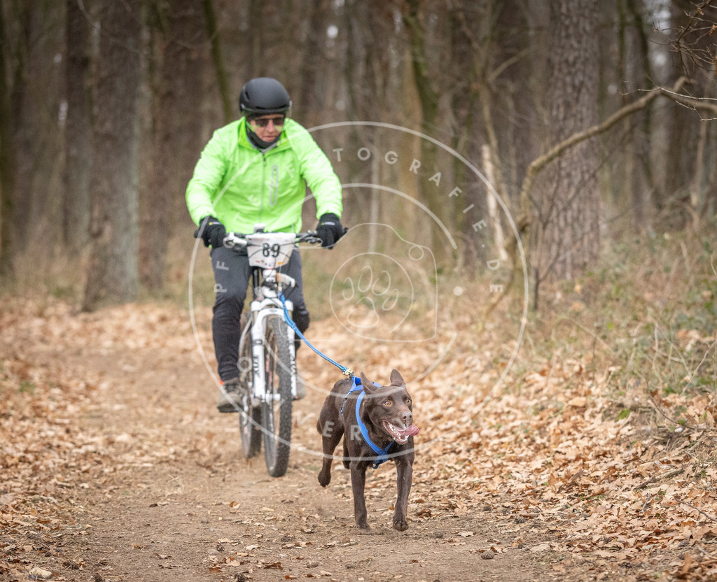 Pfotenfotografie_DV3A6512 | Hundefotografie, Tierfotograf, Pfotenfotografie, Fotoshooting Hund, Hunde Portrait, Hundesport, Hundeportraits, Heideshooting, Hunde, Sportfotograf, Hundefotograf, Turnierhundsport, THS,  - Realisiert mit Pictrs.com