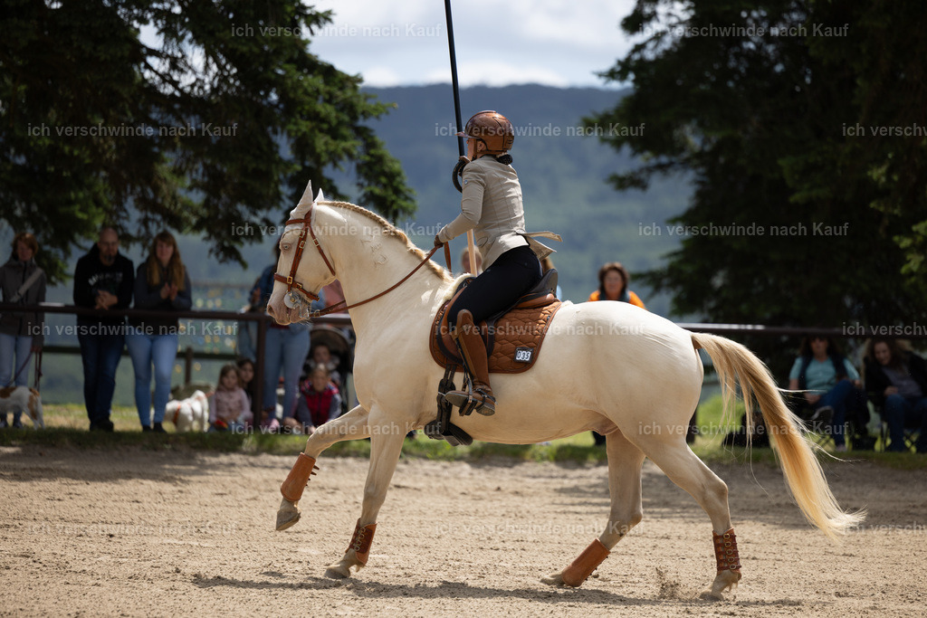 Masterclass_stoibphotography_C2_C7981.CR3 | working equitationturnier fotograf videograf stoibphotography marixx film working equitation deutschland reitsport turnierfotografie eventfotografie equestrian events