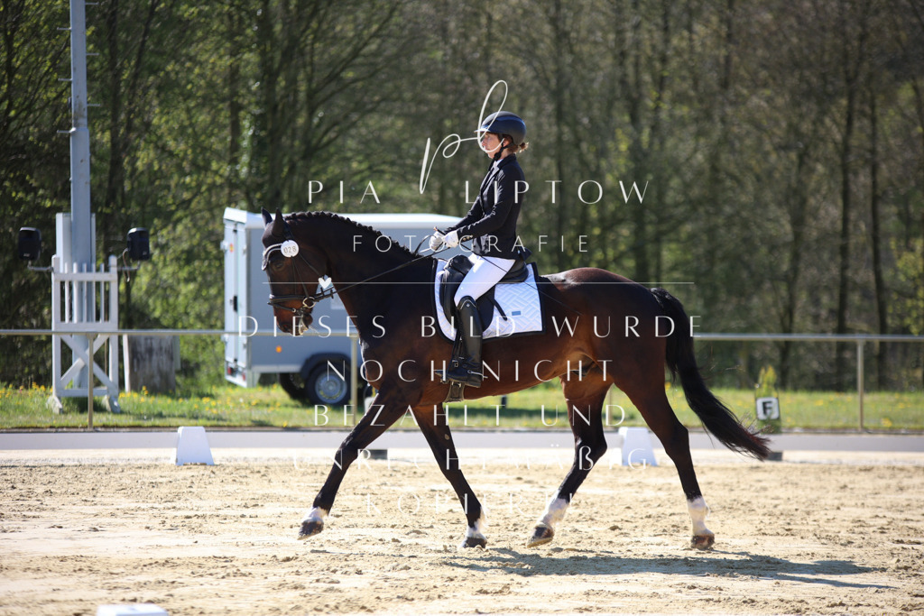 IMGT9526 | pl-fotografie