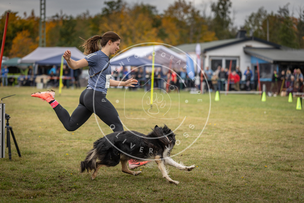 Pfotenfotografie_DV3A7523 | Hundefotografie, Tierfotograf, Pfotenfotografie, Fotoshooting Hund, Hunde Portrait, Hundesport, Hundeportraits, Heideshooting, Hunde, Sportfotograf, Hundefotograf, Turnierhundsport, THS,  - Realisiert mit Pictrs.com