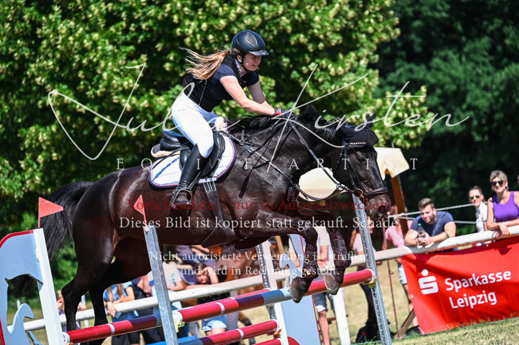 DSC_1349 | Pferde- und Turnierfotografie in Westsachsen. Pferdeportraits, Auftragszeichnungen und intuitive Kunst.