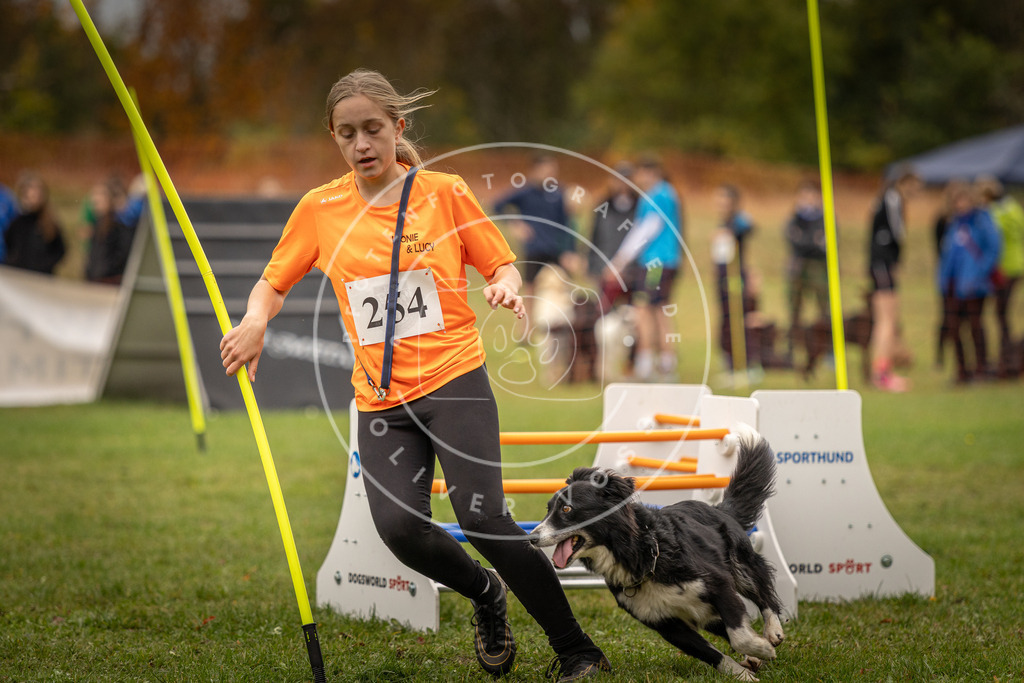 Pfotenfotografie_DV3A6241 | Hundefotografie, Tierfotograf, Pfotenfotografie, Fotoshooting Hund, Hunde Portrait, Hundesport, Hundeportraits, Heideshooting, Hunde, Sportfotograf, Hundefotograf, Turnierhundsport, THS,  - Realisiert mit Pictrs.com