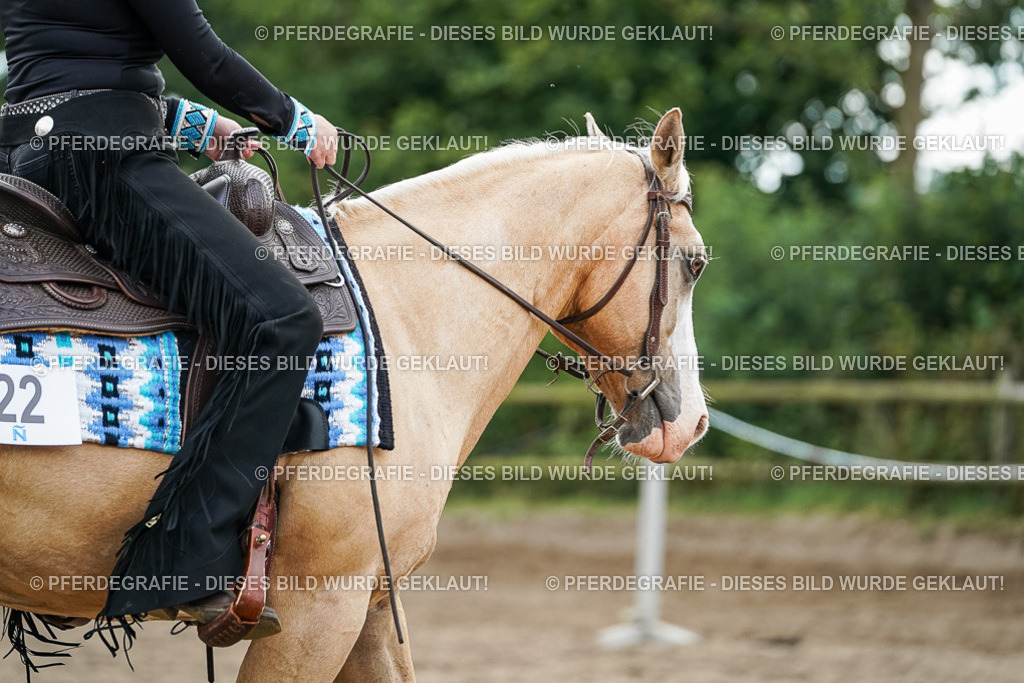 DSC03972 | Pferdegrafie