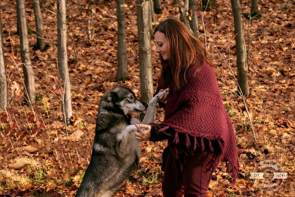 Lieblingsbilder_Photoboo_56 | Pferde- und Hundefotografie in Köln und Umgebung von Vanessza Csuka - Realisiert mit Pictrs.com