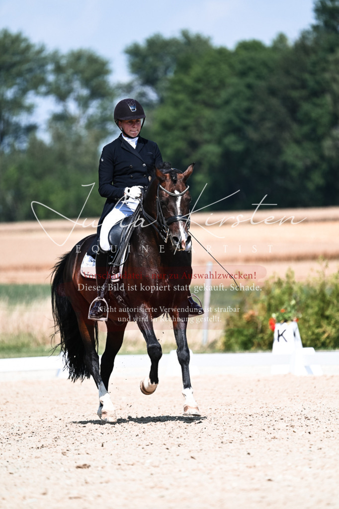 DSC_2976 | Pferde- und Turnierfotografie in Westsachsen. Pferdeportraits, Auftragszeichnungen und intuitive Kunst.