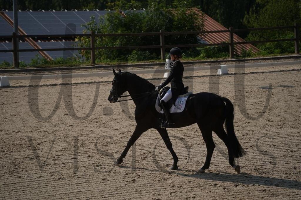 tgbhfreitag (1630) | d.tail Visions - Shop - Realisiert mit Pictrs.com