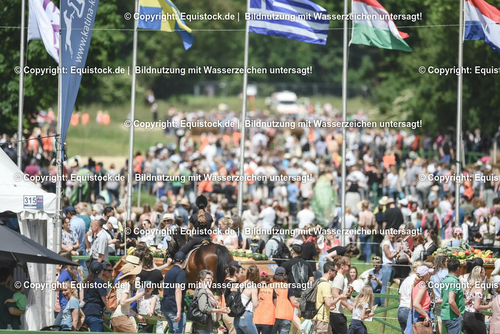 TP5_1360 | equistock