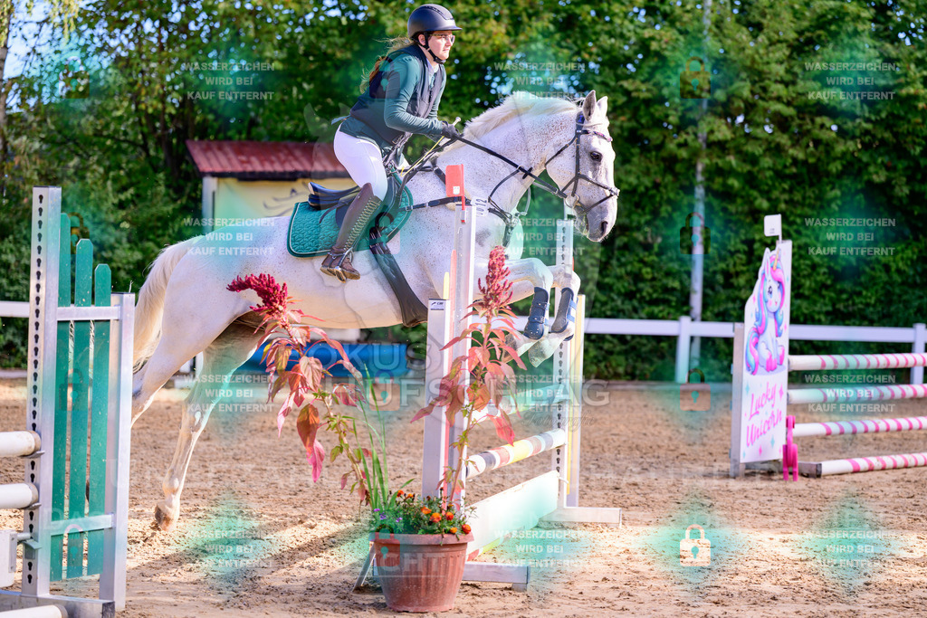 30082026-Giesenbach-Prfg16-0018 | Fokus Hufschlag Fotografie - Realisiert mit Pictrs.com