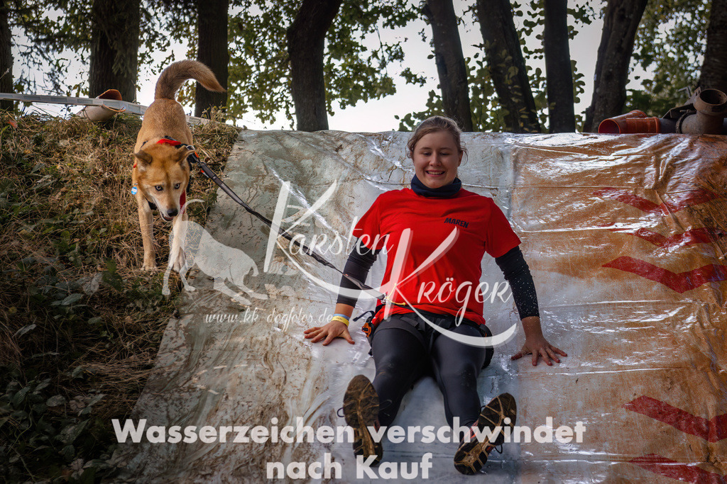 1400_ZZ93784 | kk-dogfotos