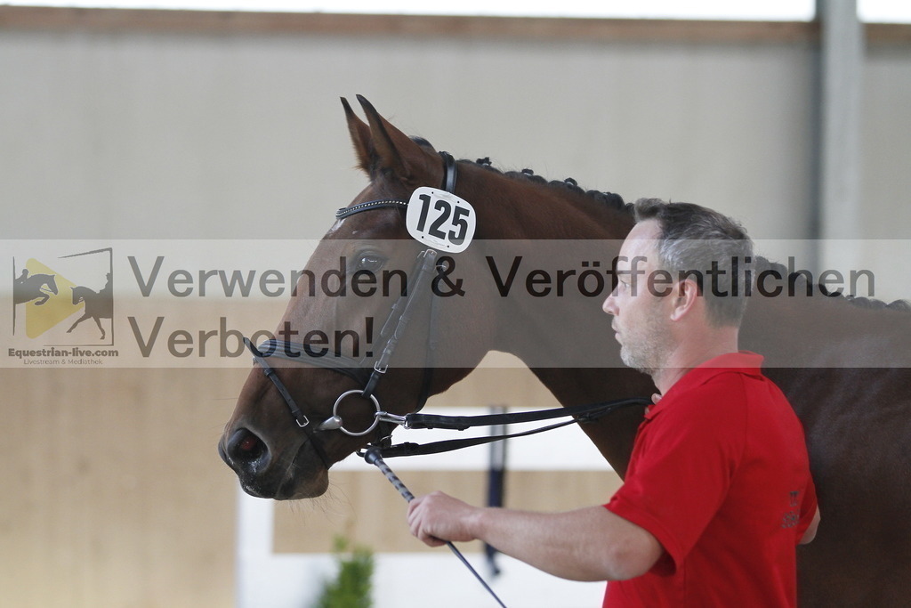 _MG_0642 | equestrian-live-com