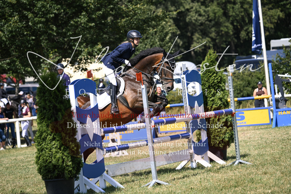 DSC_0408 | Pferde- und Turnierfotografie in Westsachsen. Pferdeportraits, Auftragszeichnungen und intuitive Kunst.