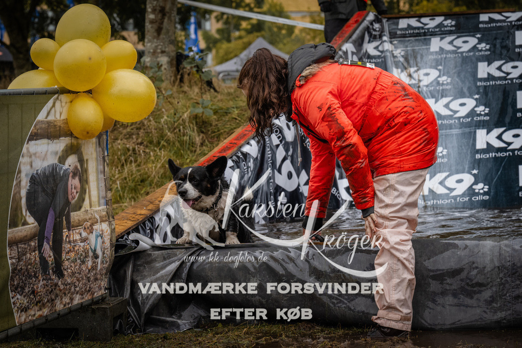 1212_ZZ94711 | kk-dogfotos